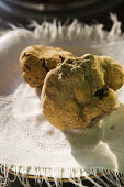 Truffles at the market in Alba, Piedmont, Italy