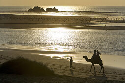 Two people on a camel on the beach, Atlantic Ocean shoreline, Essouira, Morocco, Africa
