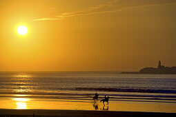 Two horse riders riding along the shore at sunset, Essouira, Morocco, Africa