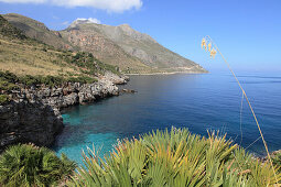 Küstenlandschaft im Sonnenlicht, Naturreservat Zingaro, Provinz Trapani, Sizilien, Italien, Europa