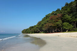 View over the 12 km long Radha Nagar Beach and its costal rainforest, Beach 7, Havelock Island, Andamans, India