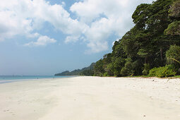 Blick über den 12 km langen Radha Nagar Beach und seinen Küstenwald, Strand 7, Havelock Island, Andamanen, Indien