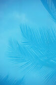 Spiegelung von Palmwedeln im Pool des Surya Lanka Ayurveda Beach Resort, Talalla, Matara, Südküste, Sri Lanka, Asien