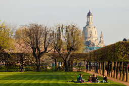 View from the park of the Japanisches Palais to the Frauenkirche, Church of our Lady, Dresden, Saxony, Germany
