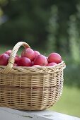 Basket with red apples