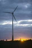 Wind power stations in sunset