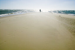 Man stands on beach, The farthest headland where Skagerrak and the Kattegatt meet, Skagen, Jutland, Denmark