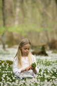 Girl is picking wood anemones