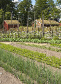 Linnés Råshult, Småland, Sweden