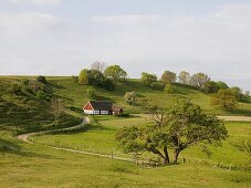 House in agriculture landscape, osterlen, Skane, Sweden