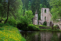 Ruine der Klosterkirche Allerheiligen an einem Teich, Mittlerer Schwarzwald, Baden-Württemberg, Deutschland, Europa