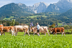 Almabtrieb, Königssee, Berchtesgadener Land, Oberbayern, Bayern, Deutschland