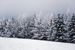 Winterlandschaft, Tegernseer Land, Oberbayern, Bayern, Deutschland