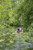 Father, children and grandfather canoeing on the Würm River in southern Bavaria, Upper Bavaria, Germany