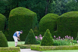 Buchsbaumhecken im Park vom Schloss Clemenswerth, Ziergarten, Parkwiesen und Blumenbeete, Sögel, Niedersachsen, Deutschland