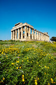 Temple E, Selinute, Sicily, Italy