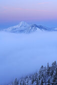 Risserkogel and Plankenstein above a sea of clouds, Bavarian Pre-Alps, Bavarian Alps mountain range, Upper Bavaria, Bavaria, Germany