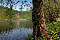 View over Neckar river to Zwingenberg castle, Neckar, Baden-Württemberg, Germany