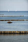 Sailboats in Bay of Mecklenburg, Kuhlungsborn, Baltic Sea, Mecklenburg-Vorpommern, Germany