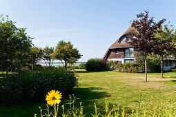 Thatched-roof house, Wustrow, Fischland-Darss-Zingst, Mecklenburg-Vorpommern, Germany