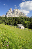Blumenwiese und Almstadel vor Peitlerkofel, Dolomiten, UNESCO Weltkulturerbe Dolomiten, Südtirol, Italien