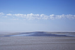 Salt lake in the desert, Chott El Jerid, Tunesia, Africa