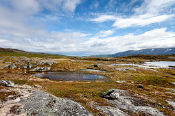 Mountain landscape near Björkliden, Lapland, northern Sweden, Sweden