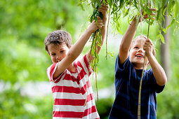 Zwei Jungen (6 - 7 Jahre) ziehen an Zweigen