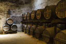 Sherry casks in cellar of Bodega Tio Pepe Gonzales Byass winery, Jerez de la Frontera, Andalucia, Spain, Europe