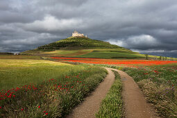 Castle ruins Castrum Sigerici from the 8th century, Castrojeriz, Camino Frances, Way of St. James, Camino de Santiago, pilgrims way, UNESCO World Heritage, European Cultural Route, province of Burgos, Old Castile, Castile-Leon, Castilla y Leon, Northern S