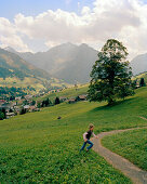 Path leading up the mountain, Hirschegg, Kleinwalsertal, Styria, Austria