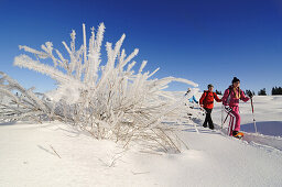 People snowshoeing in snowy landscape, Hemmersuppenalm, Reit im Winkl, Chiemgau, Upper Bavaria, Bavaria, Germany, Europe