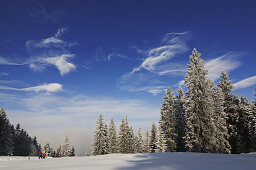 Menschen wandern auf Winterwanderweg in verschneiter Landschaft, Hemmersuppenalm, Reit im Winkl, Chiemgau, Bayern, Deutschland, Europa