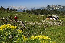 Hikers at Eggenalm, in the background the mountain Wilder Kaiser, Reit im Winkl, Chiemgau, Upper Bavaria, Bavaria, Germany, Europe