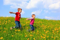 boy and girl running through field of Dandelions, Zuercher Oberland, Zuerich, Switzerland