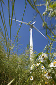 Wind turbine, Dithmarschen, Schleswig-Holstein, Germany