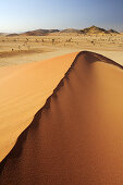 Red sand dunes over savannah, near Namib Naucluft National Park, Namib desert, Namibia
