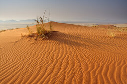 Rote Sanddünen mit Tirasberge im Hintergrund, Namib Rand Nature Reserve, Namibwüste, Namibia