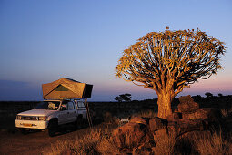 Car with roof tent next to quiver tree in quiver tree forest, Aloe dichotoma, Quiver tree forest, Keetmanshoop, Namibia