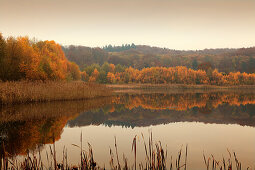 See im Naturpark Feldberger Seenlandschaft, bei Feldberg, Mecklenburg-Vorpommern, Deutschland