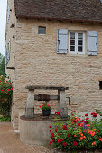 Well and roses in front of a house, Commune De Sercy, Chalon-sur-Saone, Saone-et-Loire, Bourgogne, France, Europe