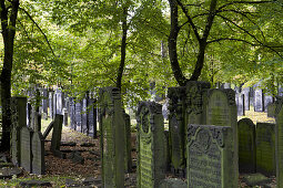 Grabsteine auf jüdischem Friedhof im Bezirk Altona, Hansestadt Hamburg, Deutschland, Europa