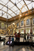 Skeletons of dinosaurs at Berlin Museum of Natural History, Invalidenstrasse, Berlin-Mitte, Berlin, Germany, Europe