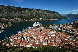 Stadtansicht von Kotor und Bucht von Kotor, Montenegro, Europa