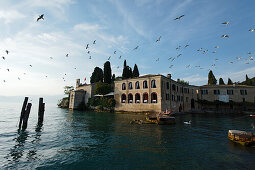 Birds, Punta San Vigilio, Hotel, Restaurant, Garda, Lake Garda, Veneto, Italy