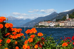 Stadtansicht, Bellagio, Comer See, Lombardei, Italien