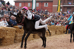 Donkey race, Palio, Alba, Langhe, Piedmont, Italy