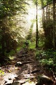 A hiker ascending Ammonoosuc Ravine Trail during the summer months Located in the White Mountains, New Hampshire USA