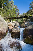 Suspension bridge, Spasmiata river, Foret de Bonifatu, Corsica, France