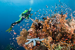 Tauchen in Bali, Alam Batu, Bali, Indonesien